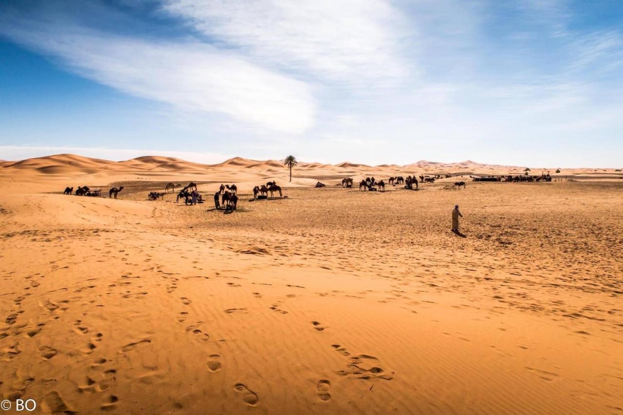 Sahara Wellness Camp Bed and Breakfast Merzouga Εξωτερικό φωτογραφία
